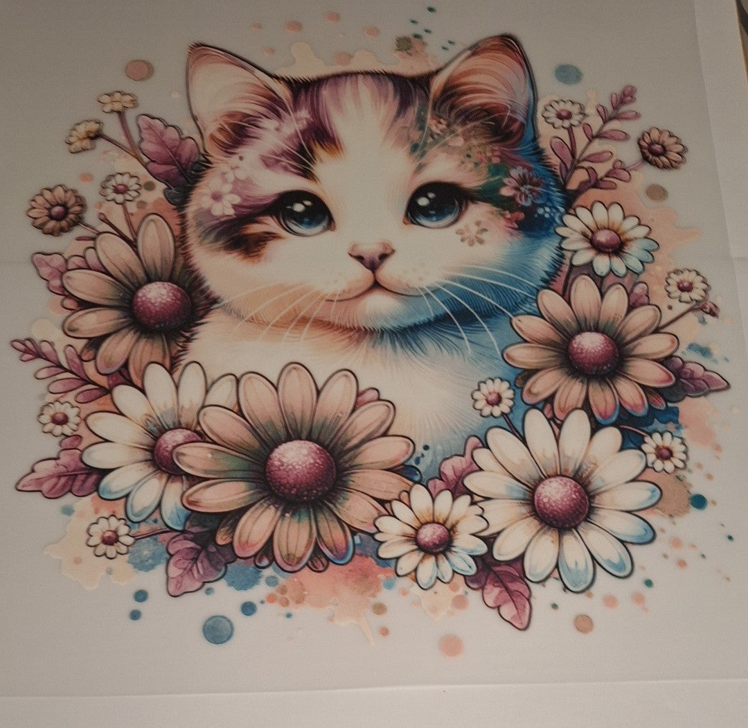 Cute cat Large Heat Transfers