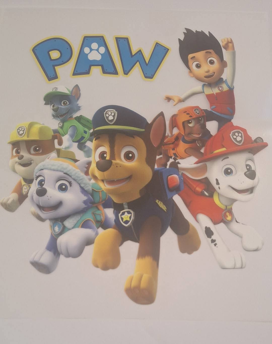 Paw patrol dtf large Heat transfer
