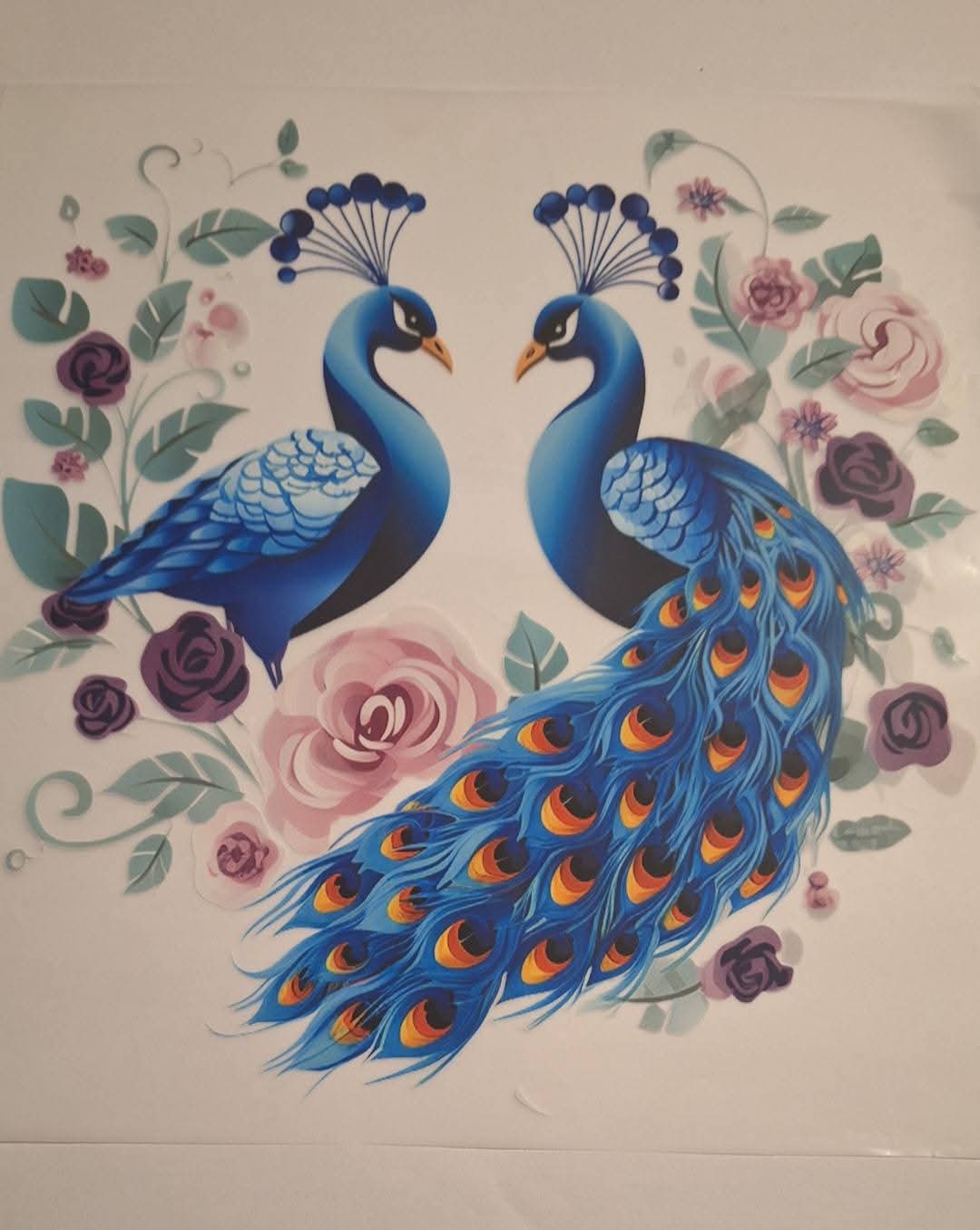 Peacocks dtf large Heat transfer