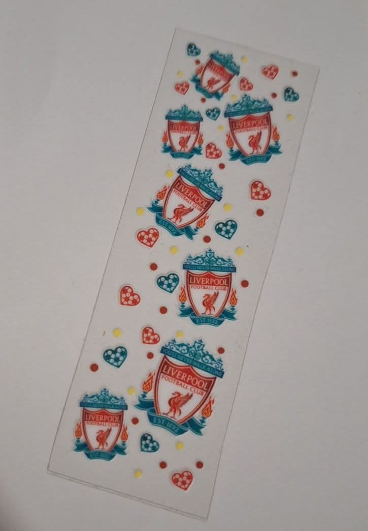 Liverpool Pen/Bookmark Wrap