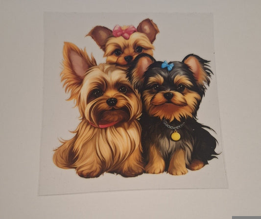 Yorkshire terriers Uvdtf pocket Size Decals