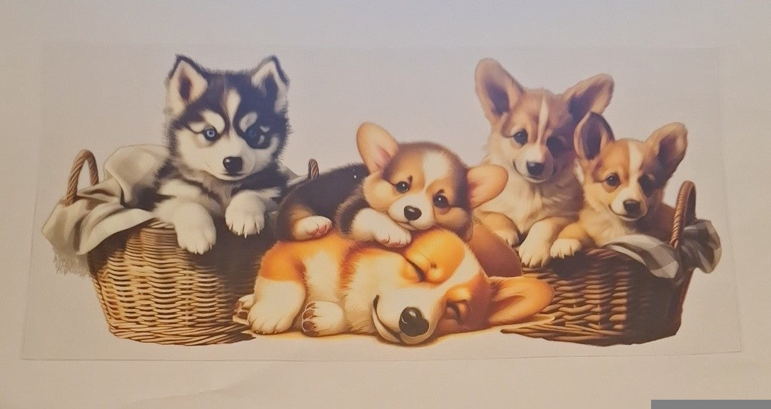 Dogs in baskets 16oz libbey cup wrap