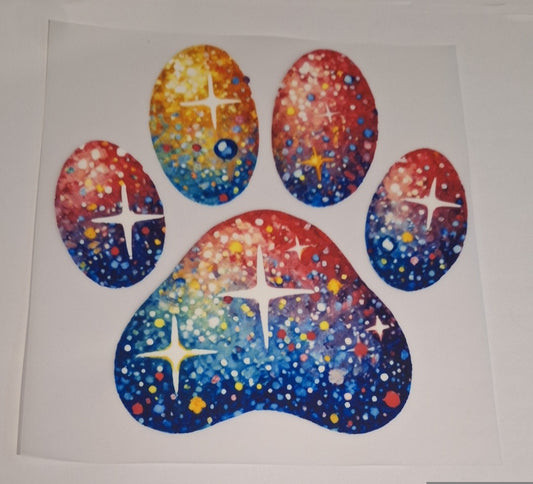 Paw multicolour Kids heat transfers